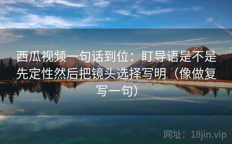 西瓜视频一句话到位：盯导语是不是先定性然后把镜头选择写明（像做复写一句）